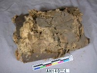 藏品(護胸器具)的圖片